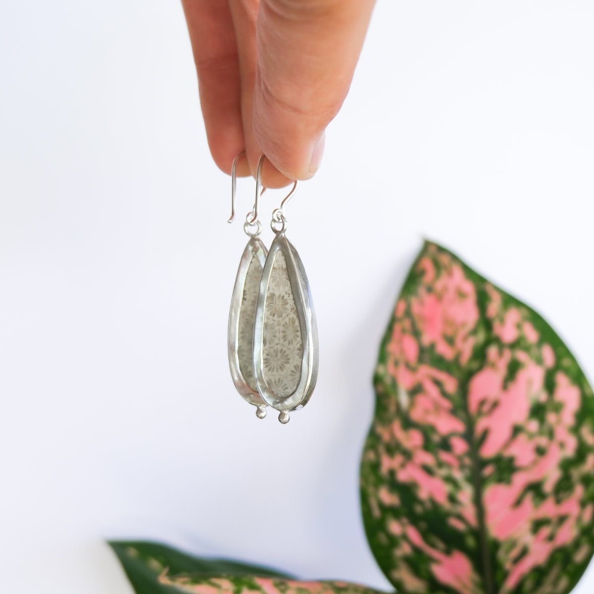 Fossilised Coral Earrings