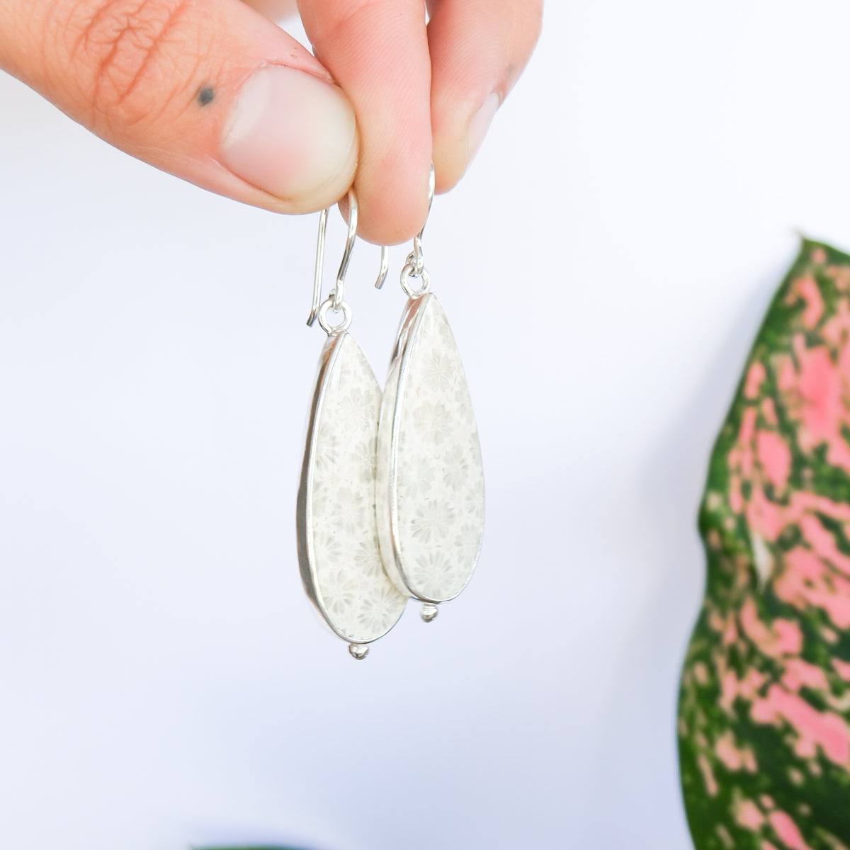 Fossilised Coral Earrings