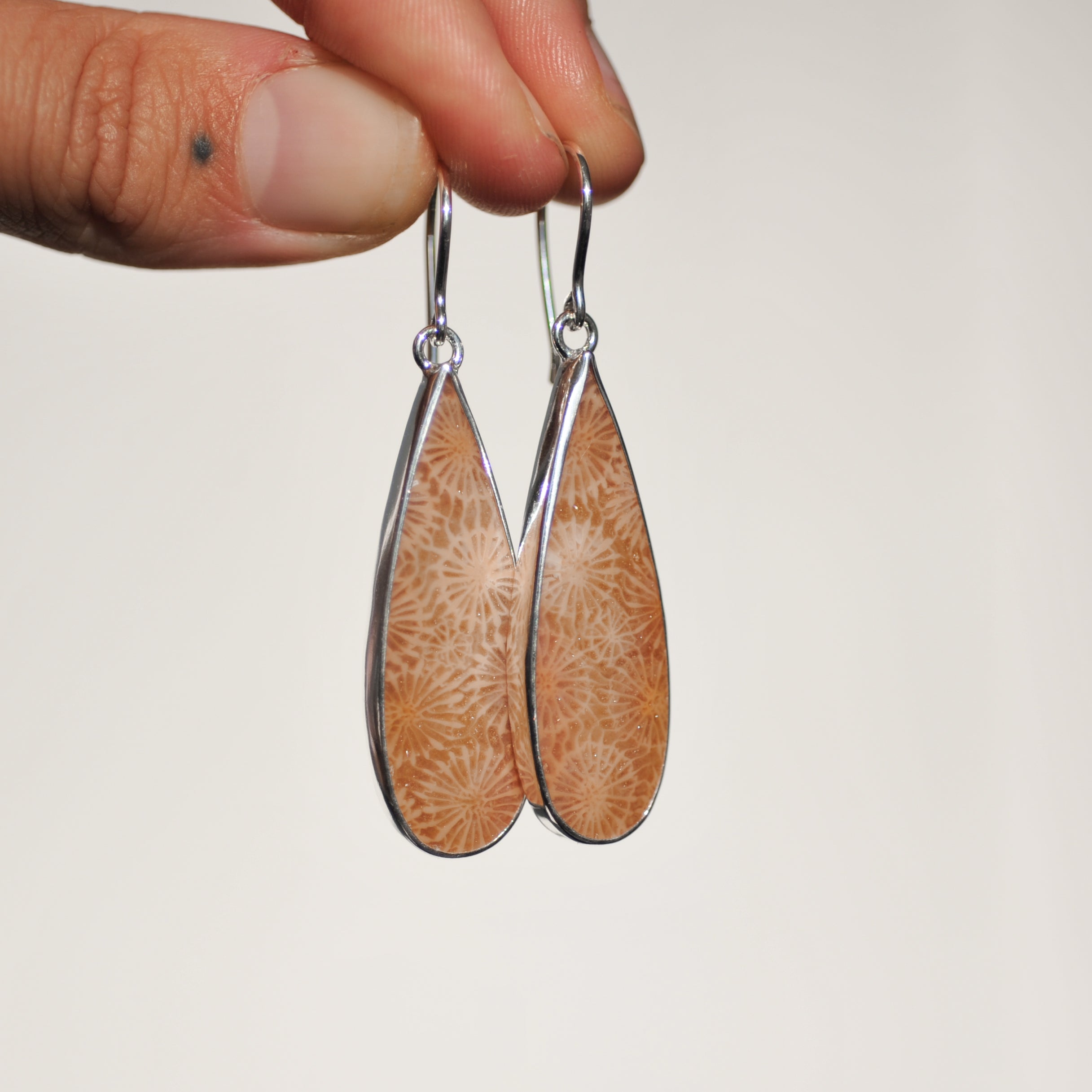 Fossilised Coral Earrings
