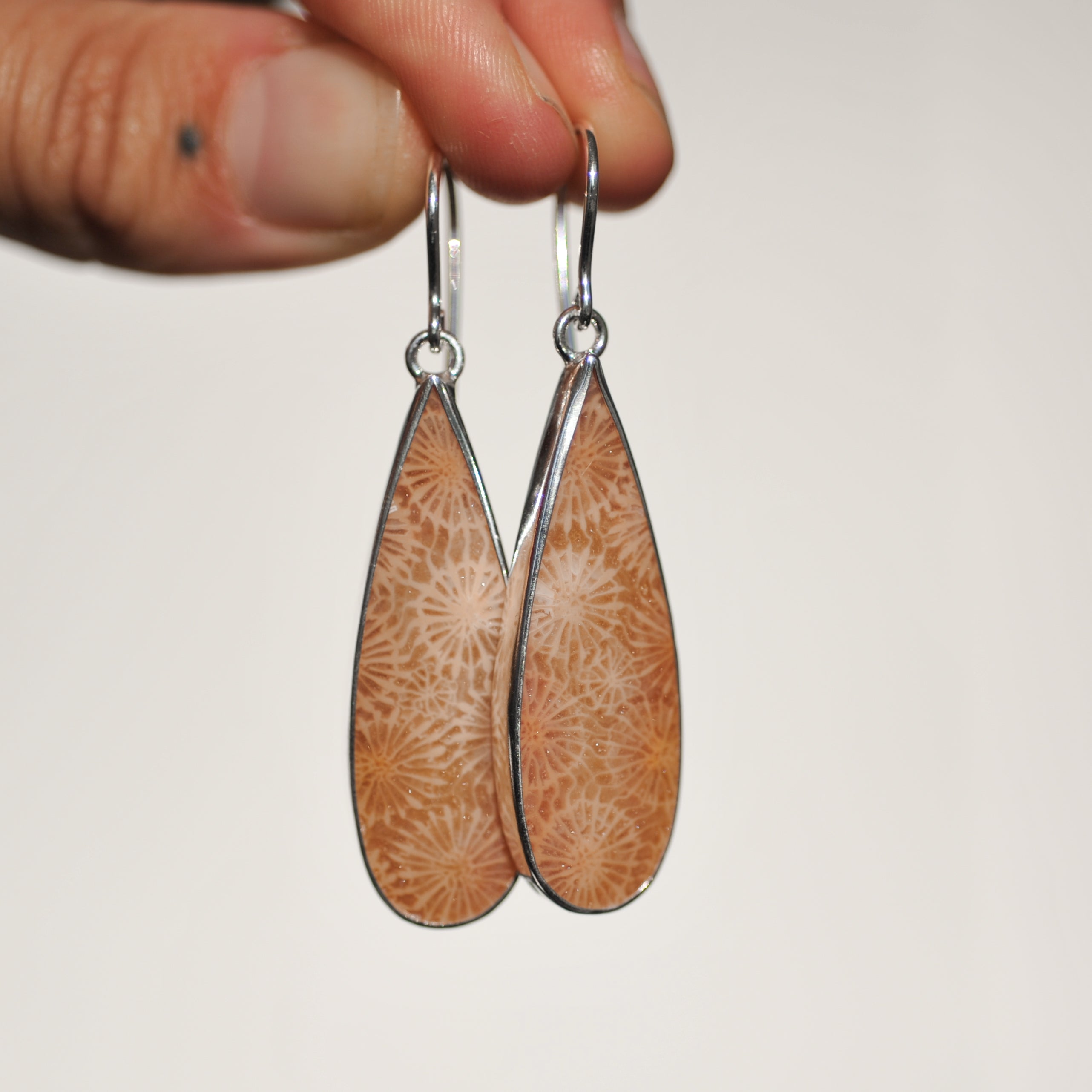 Fossilised Coral Earrings