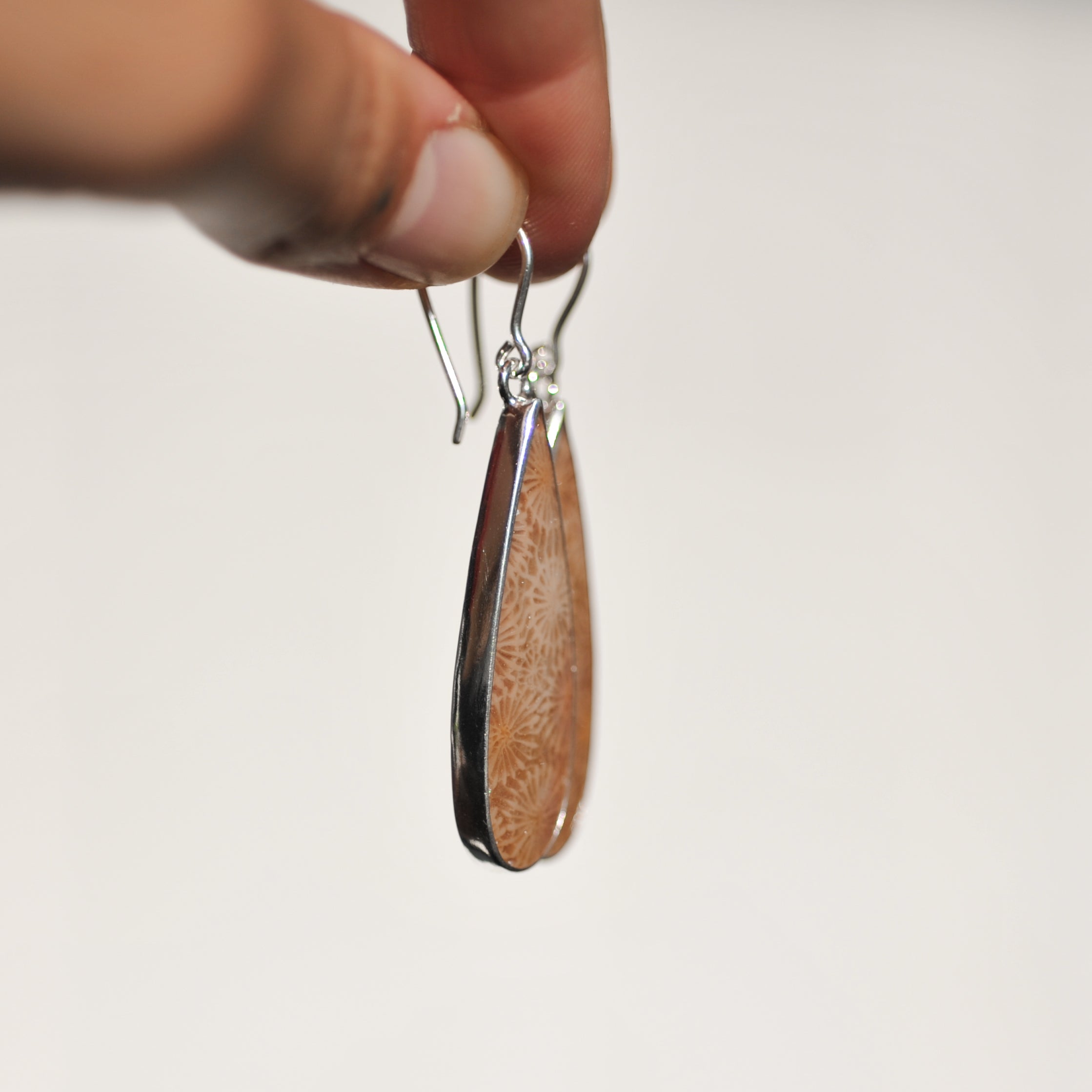 Fossilised Coral Earrings