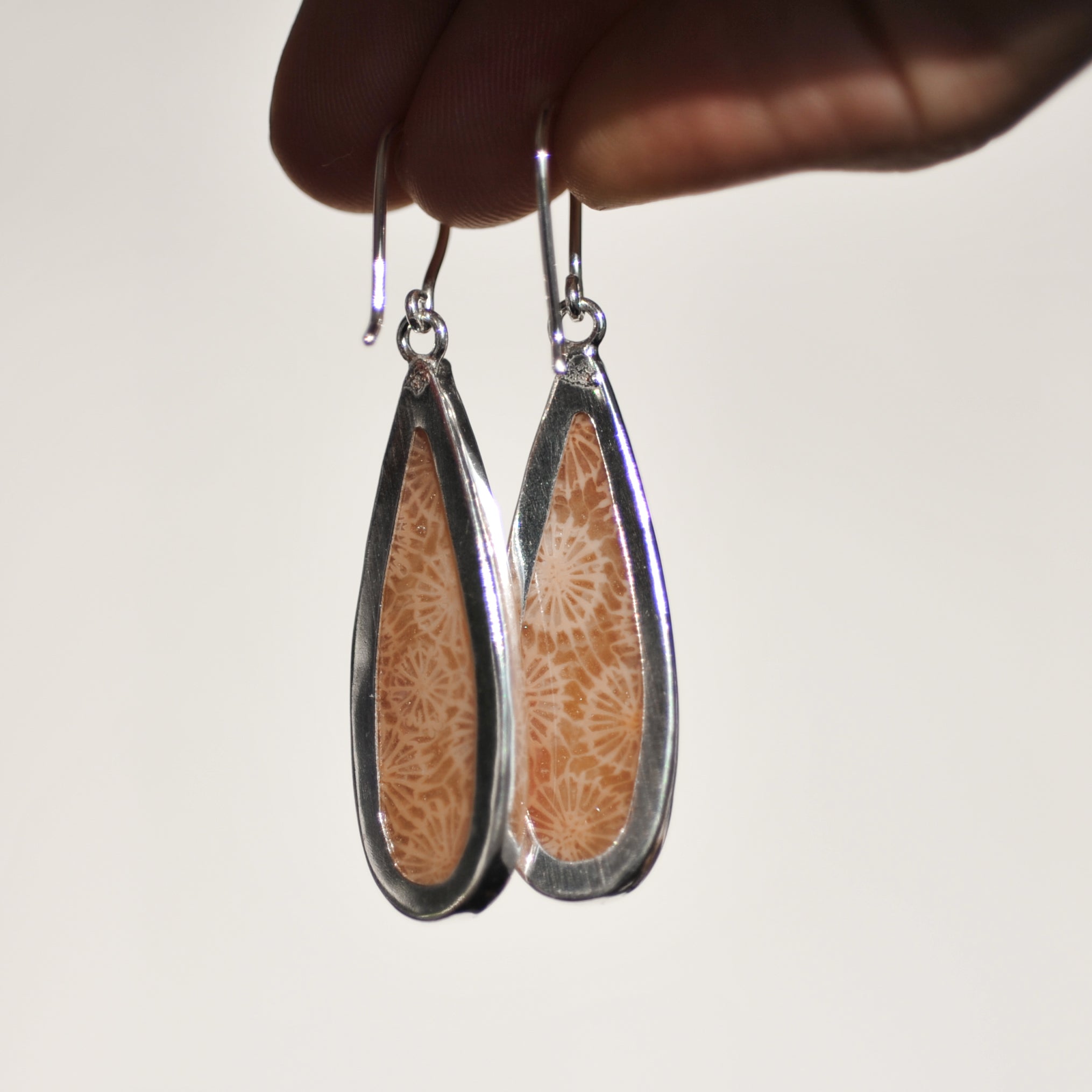 Fossilised Coral Earrings