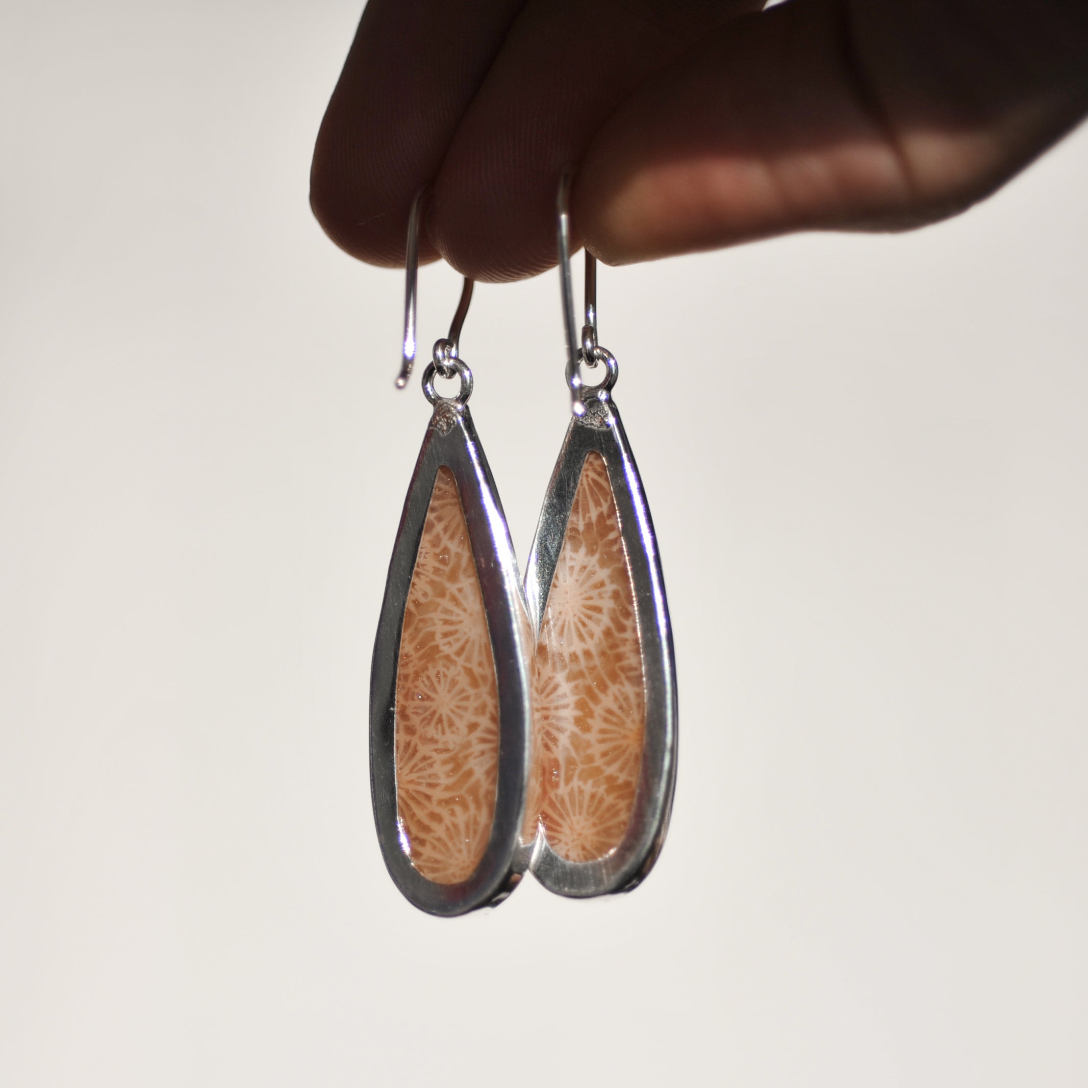 Fossilised Coral Earrings