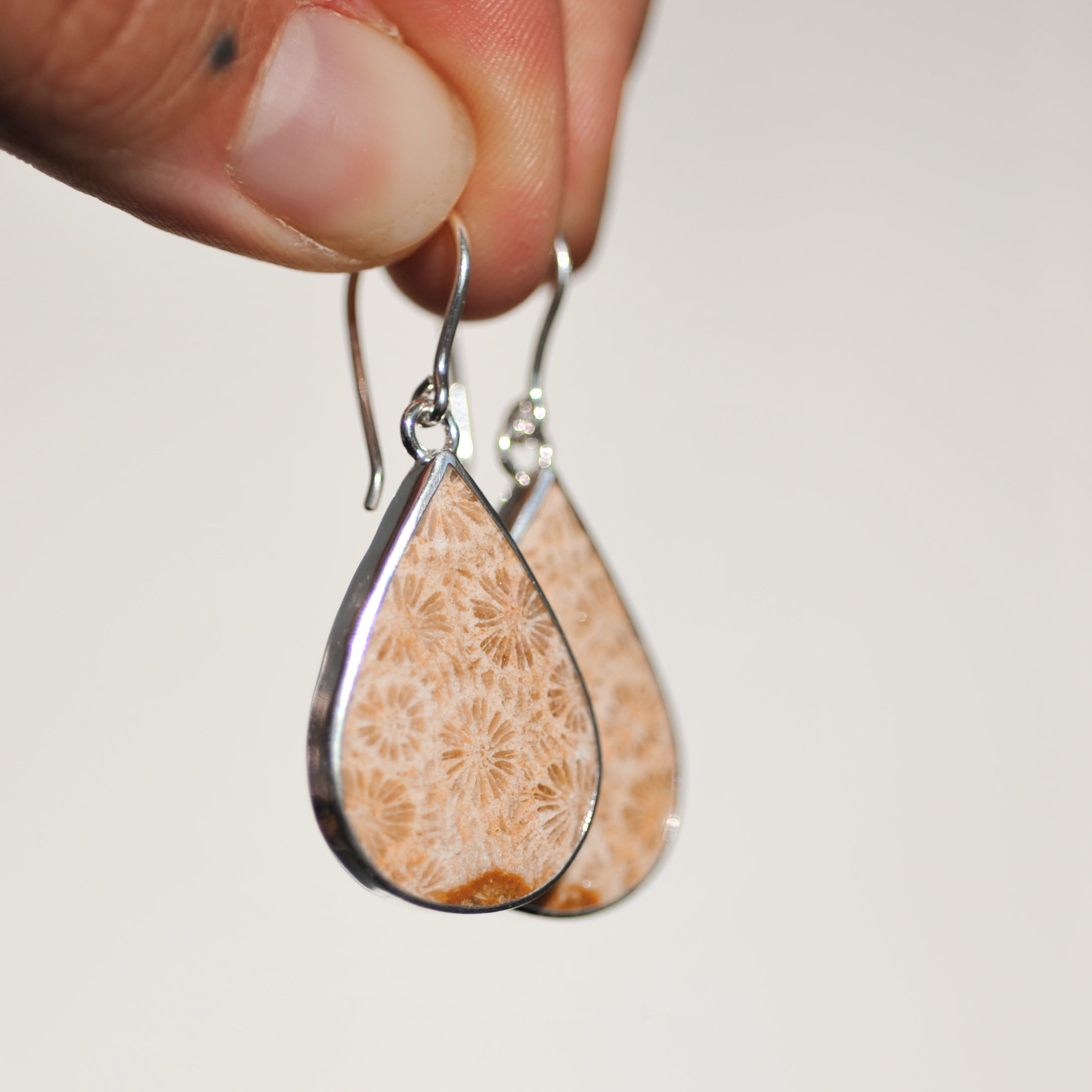 Fossilised Coral Earrings