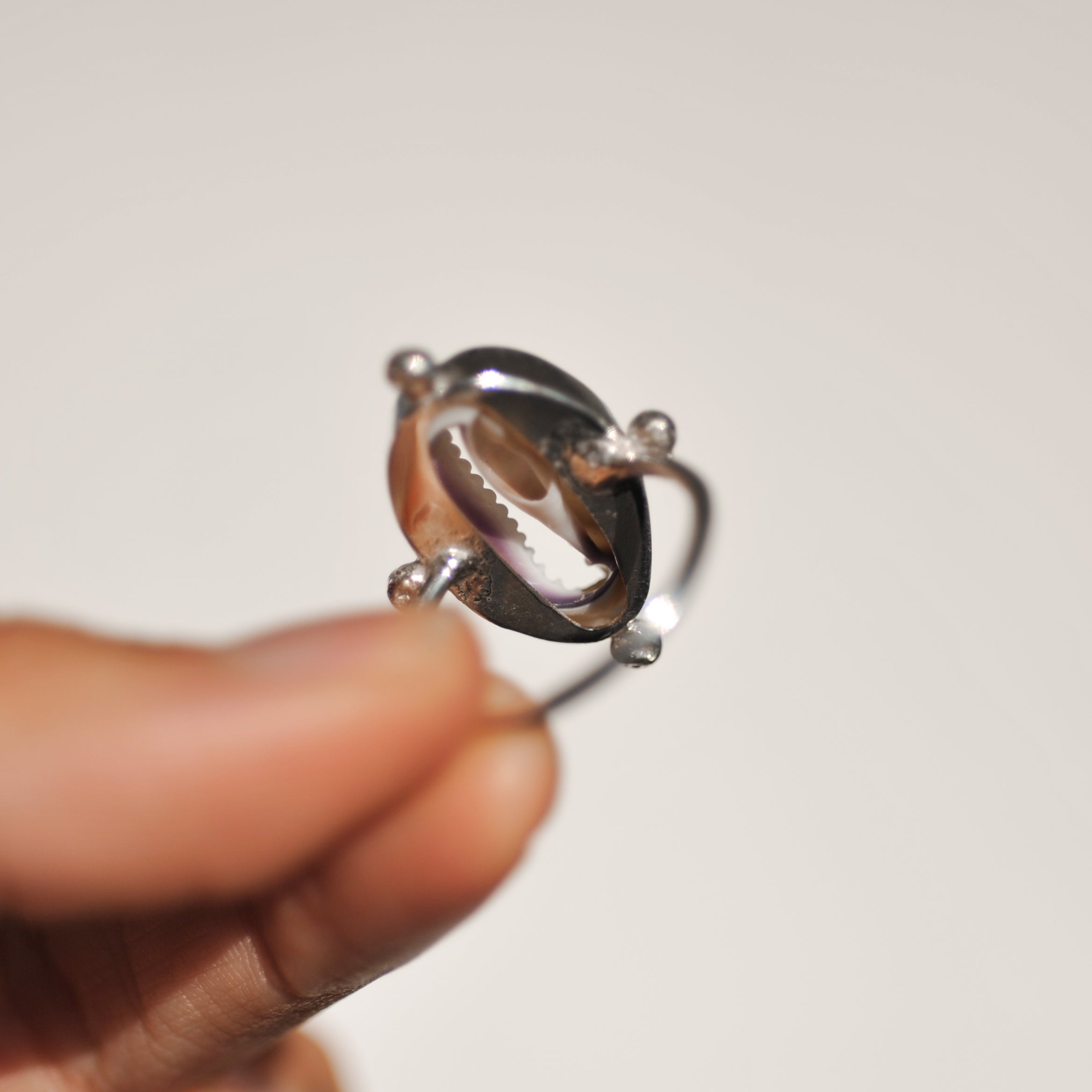 Cowrie Ring | O