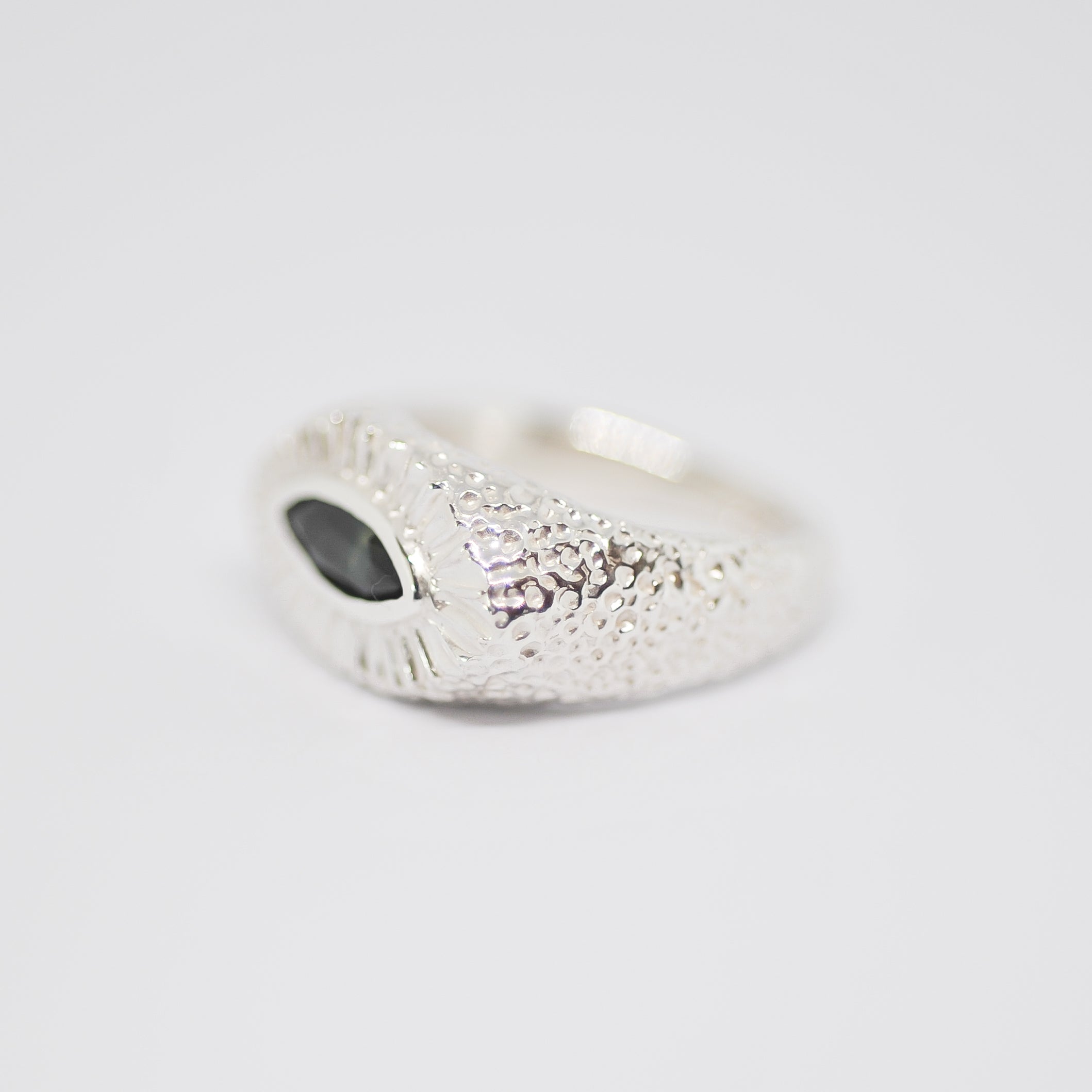 Ray Ring | N