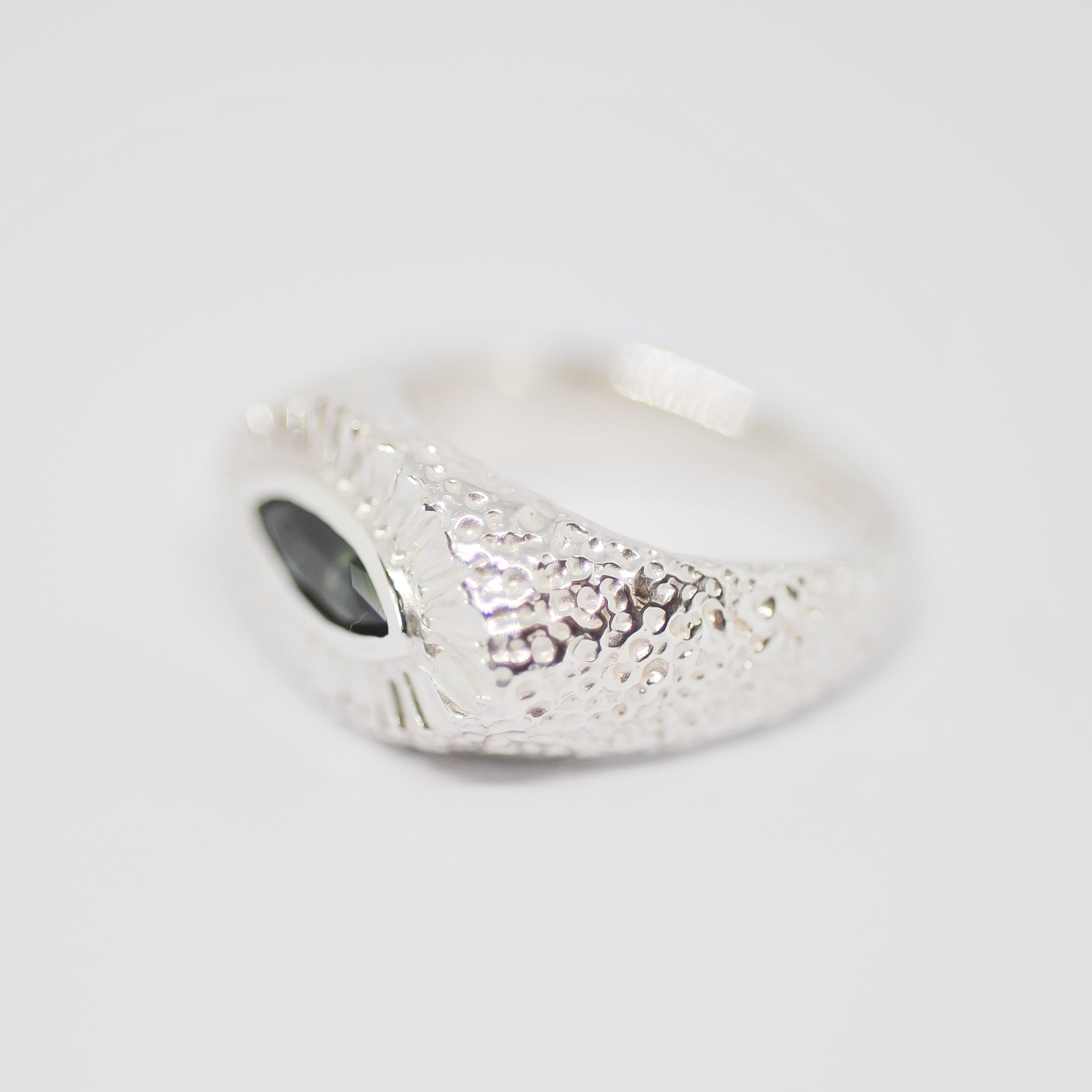 Ray Ring | N
