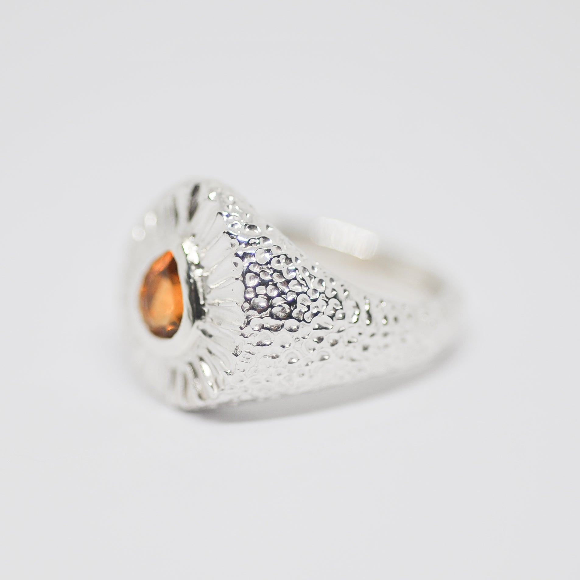 Ray Ring | J