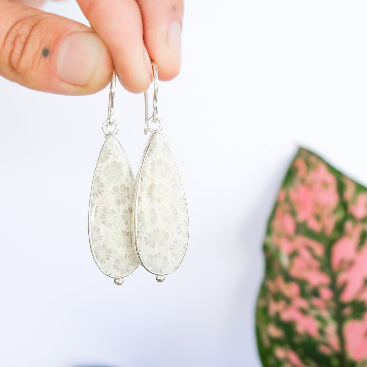 Fossilised Coral Earrings