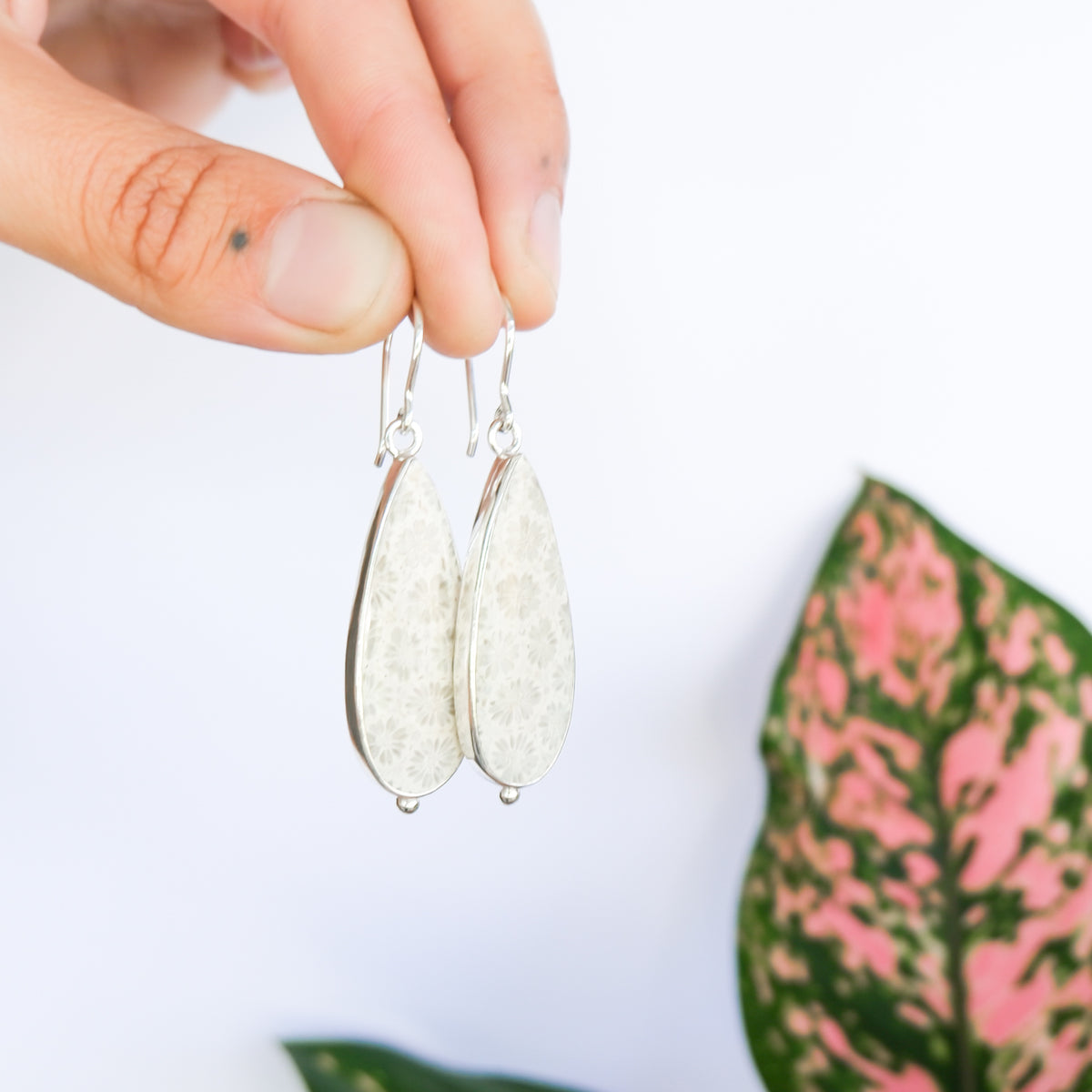 Fossilised Coral Earrings