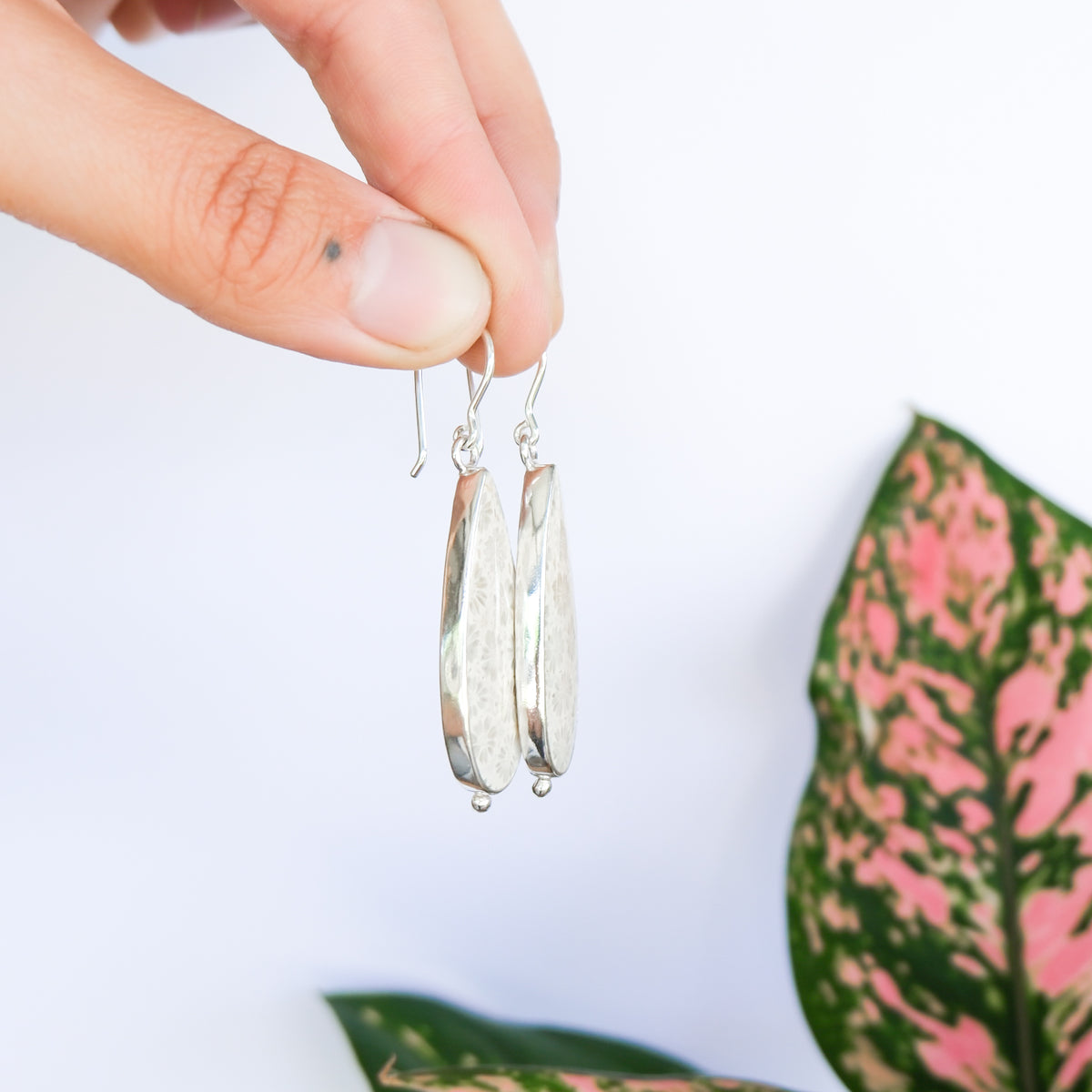 Fossilised Coral Earrings