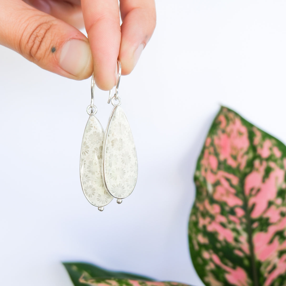 Fossilised Coral Earrings