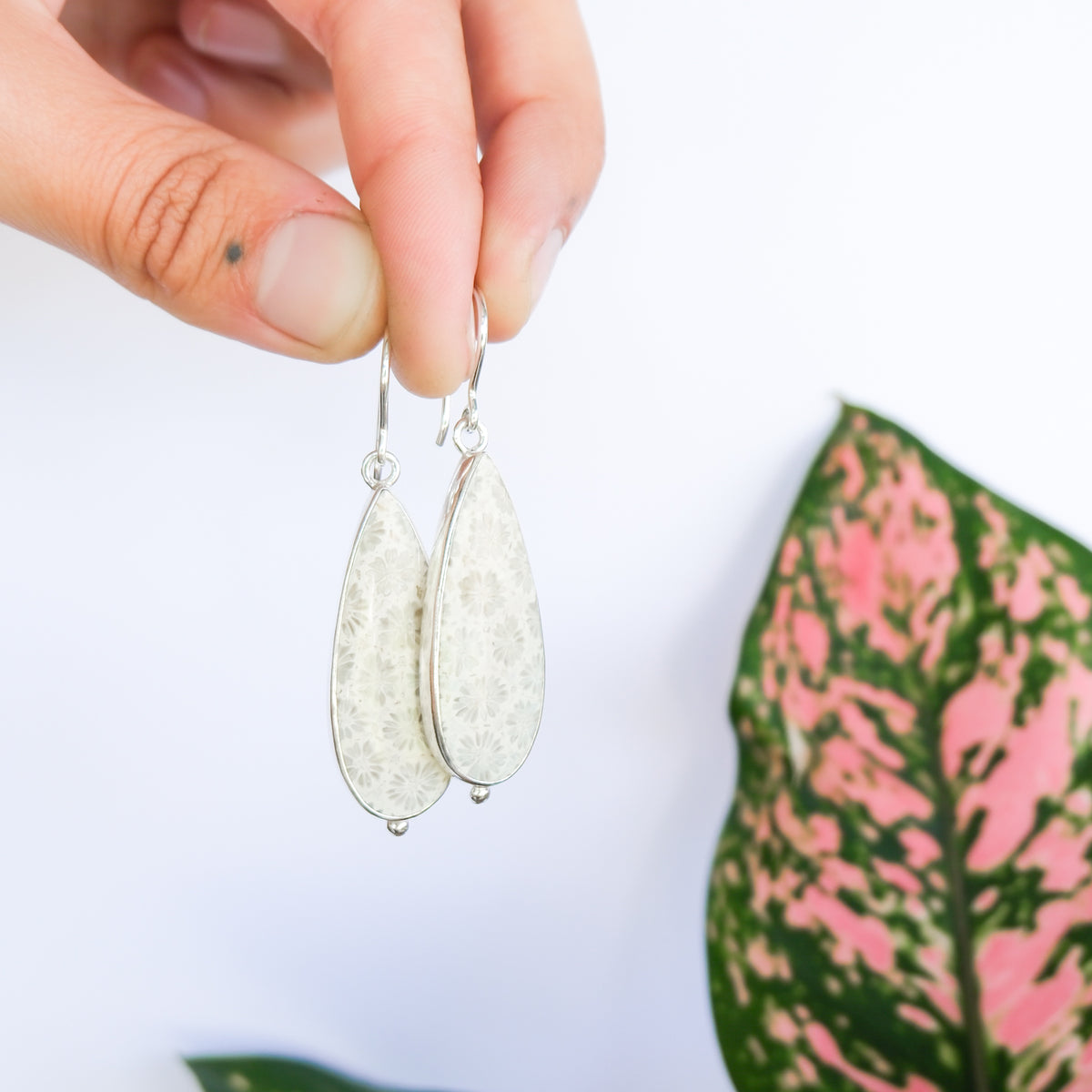 Fossilised Coral Earrings