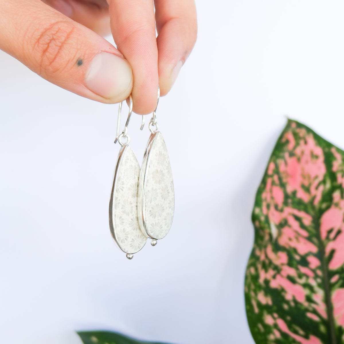 Fossilised Coral Earrings