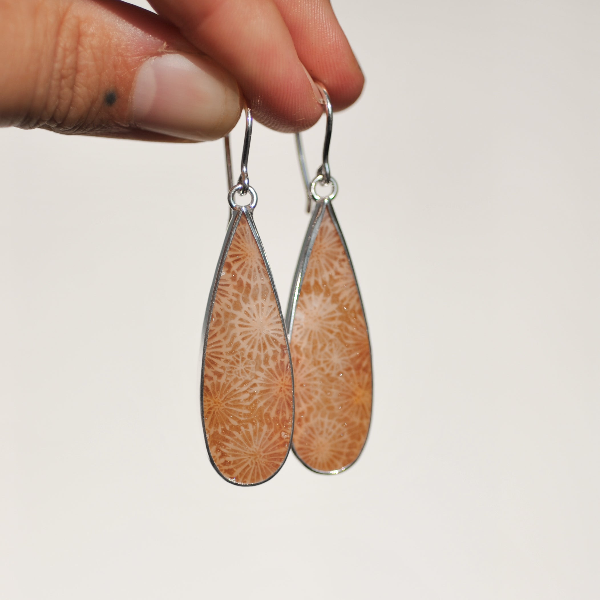 Fossilised Coral Earrings