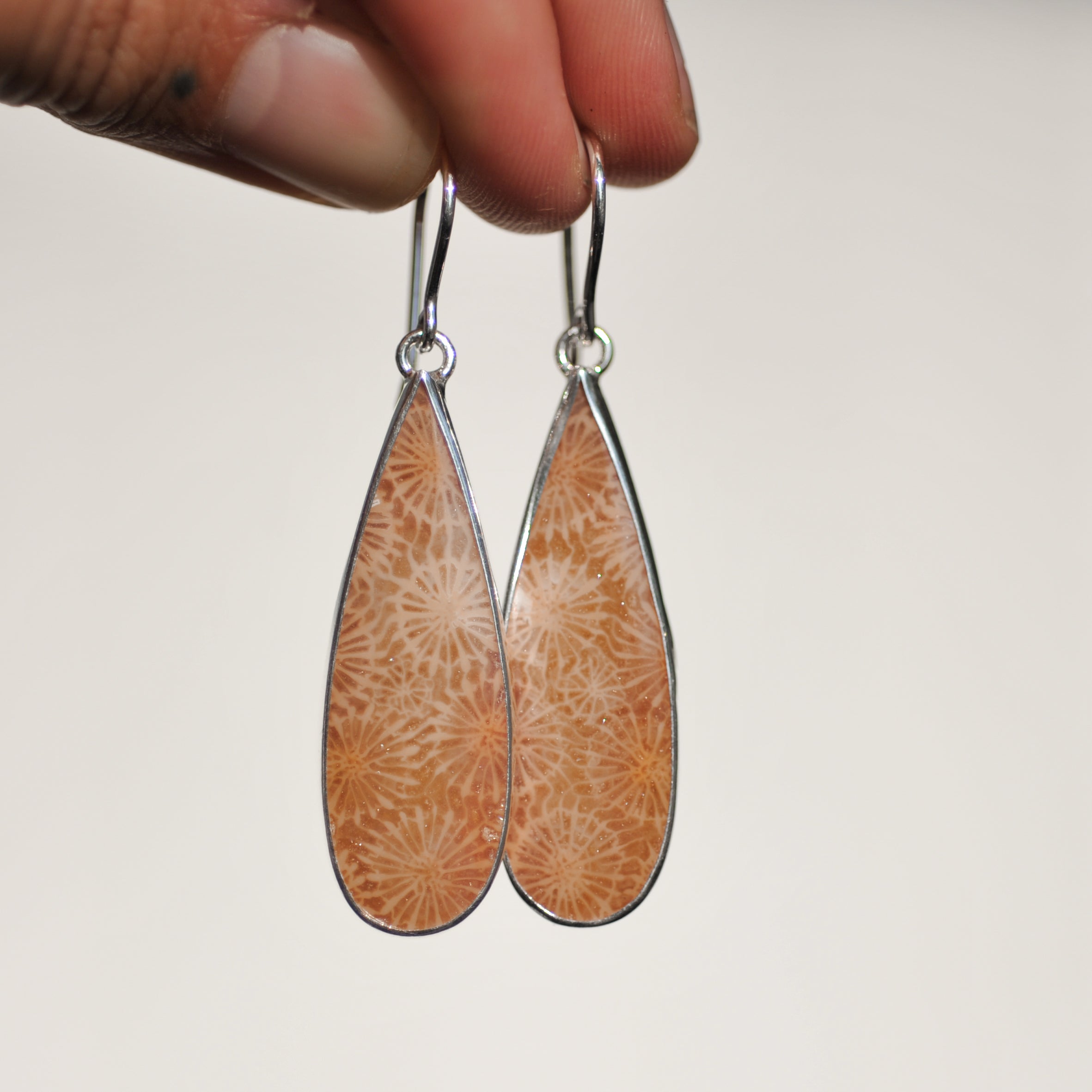Fossilised Coral Earrings
